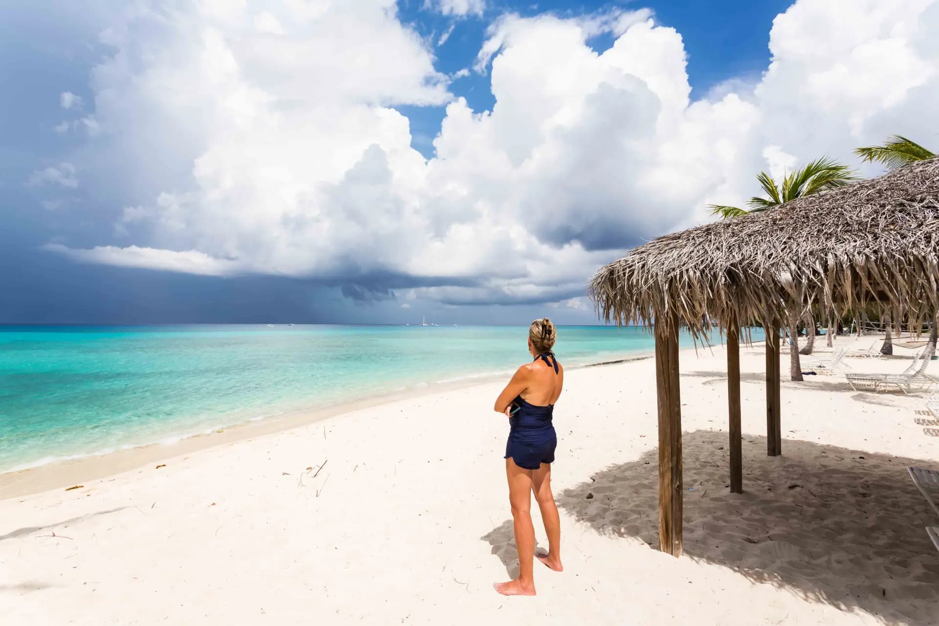 Tropical Paradise