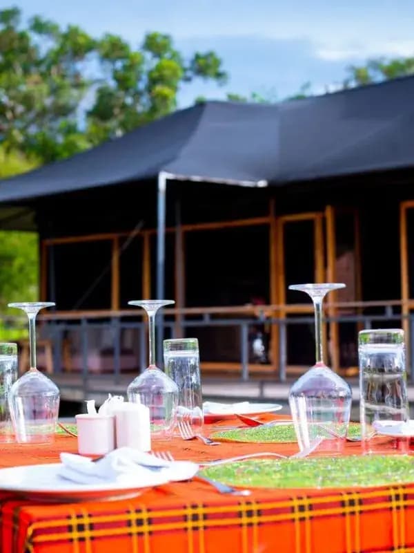 Serenity Camp & Lodges - Tanzania luxury safari accommodation gallery 4