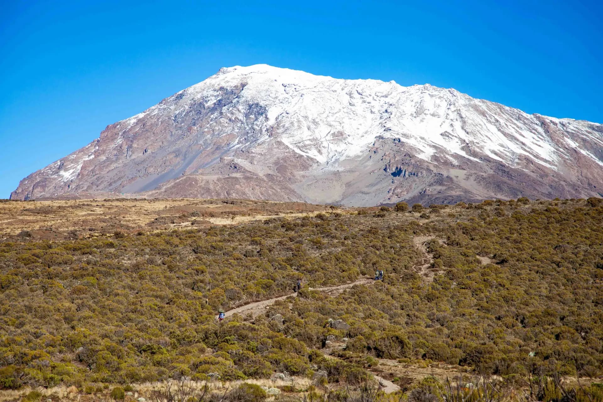 Kilimanjaro