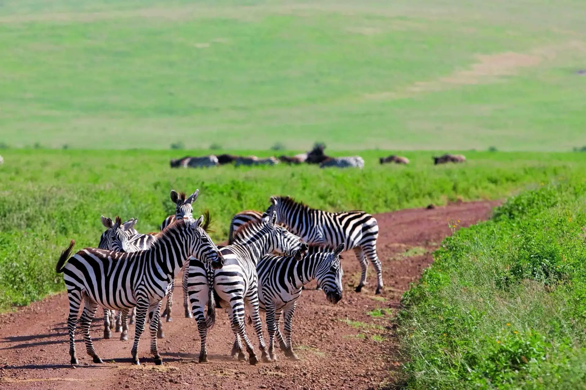 Lake Manyara & Eyasi