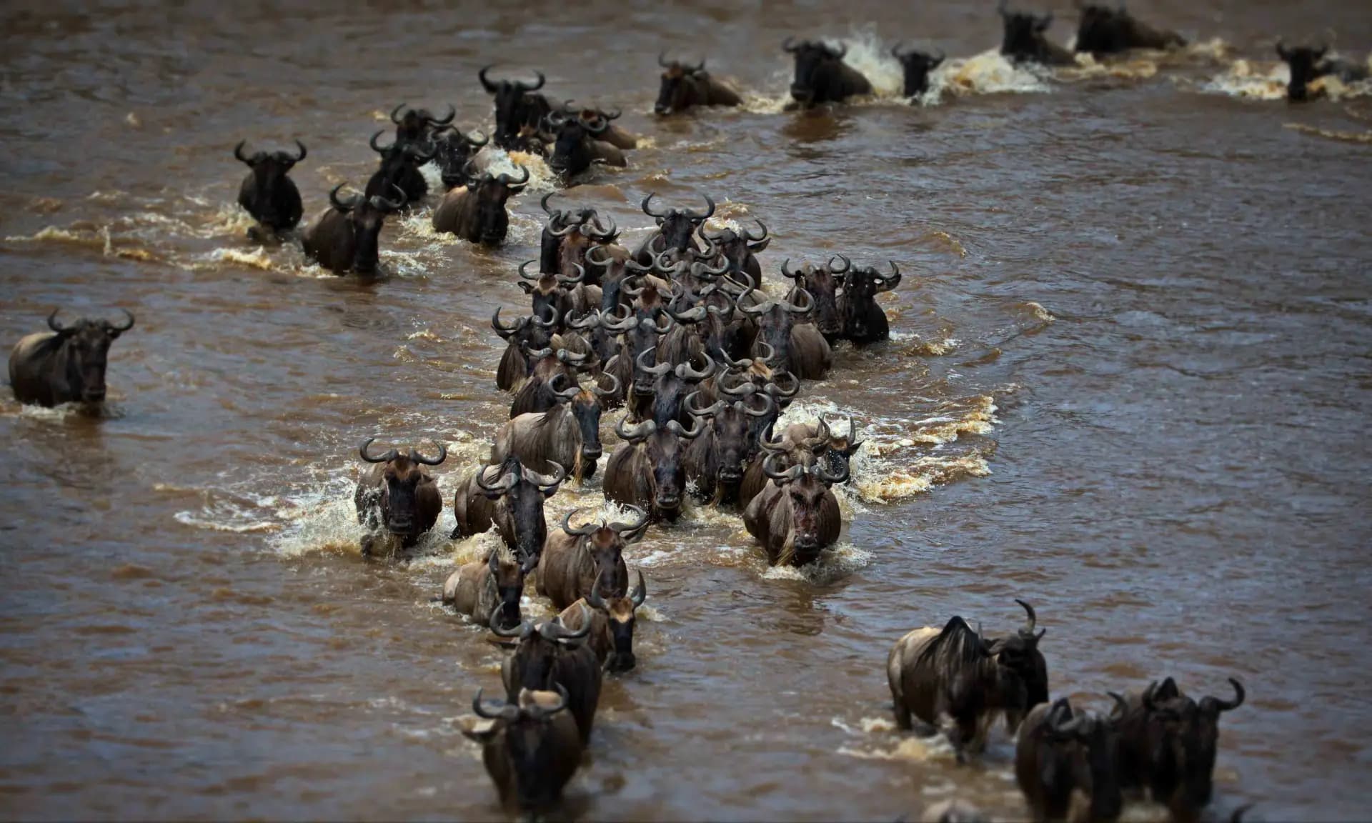 Great Migration