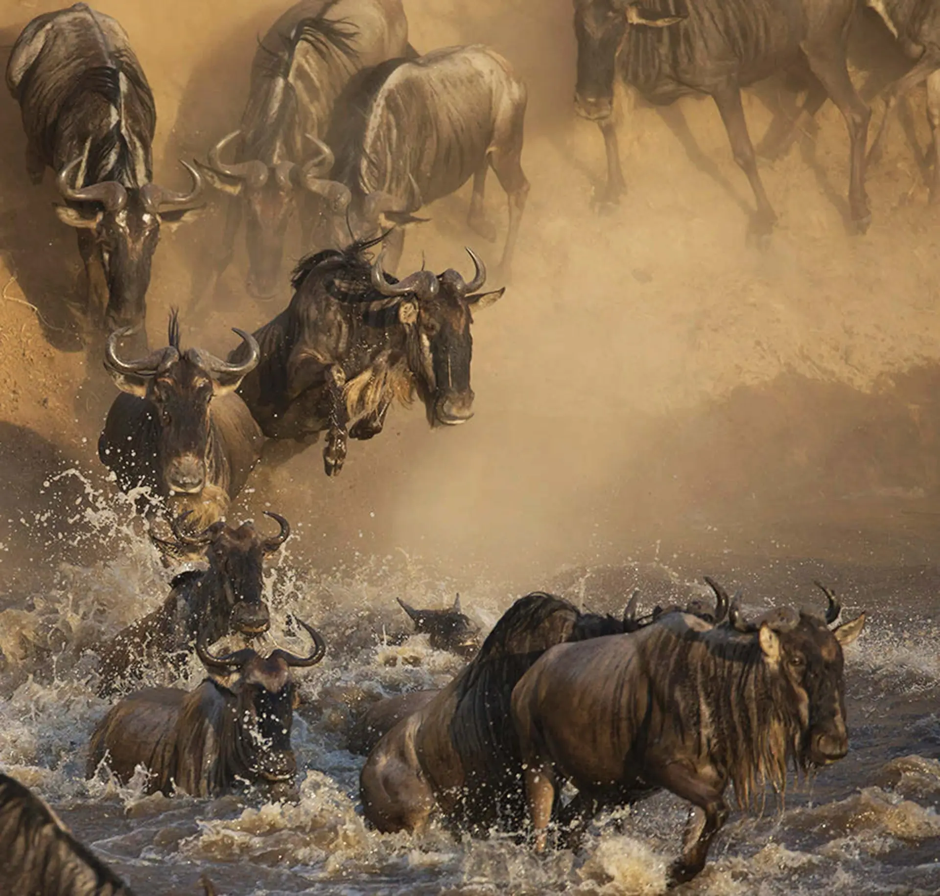 Migration River Crossings