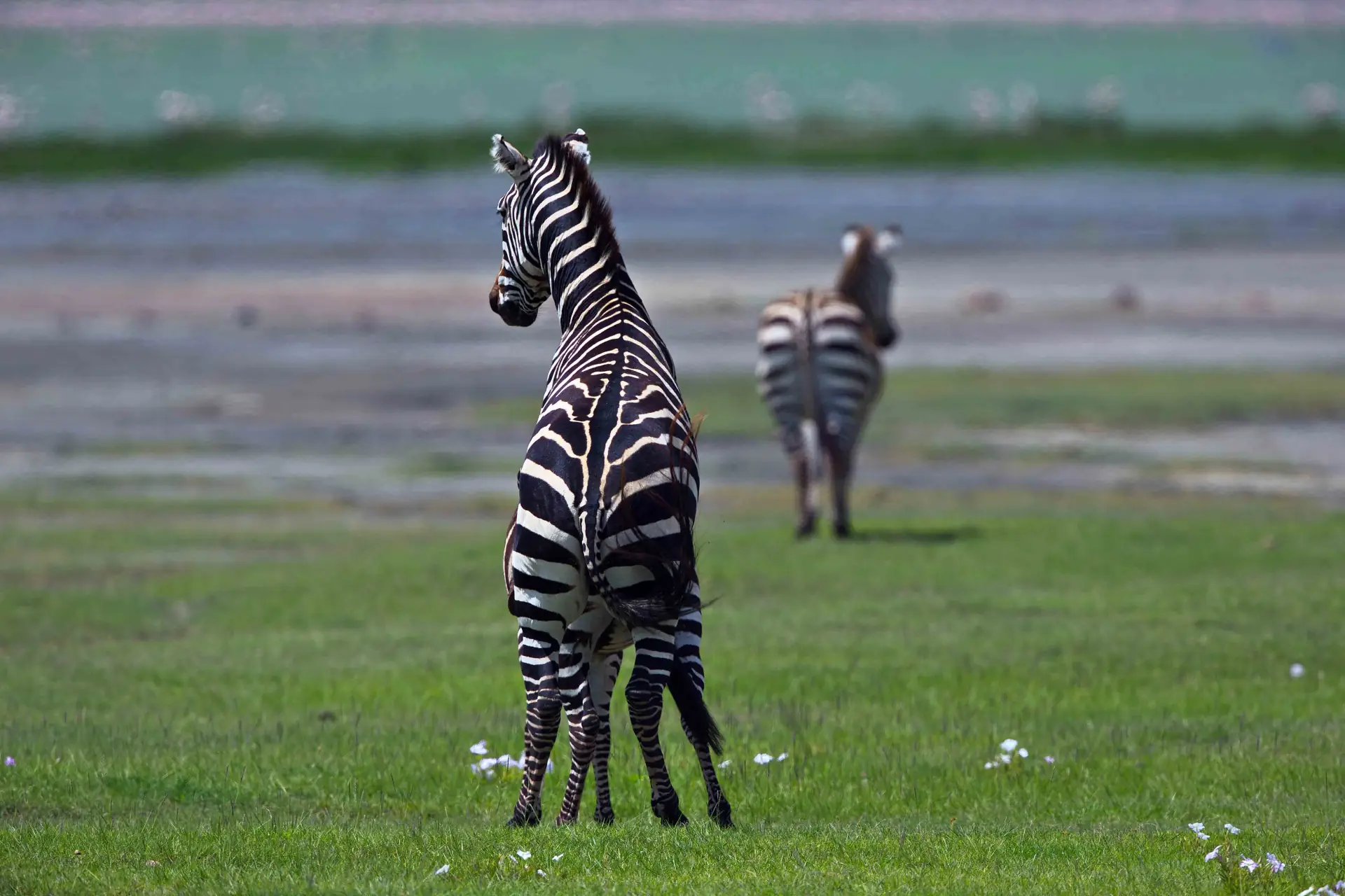 Ngorongoro Crater: The Garden of Eden