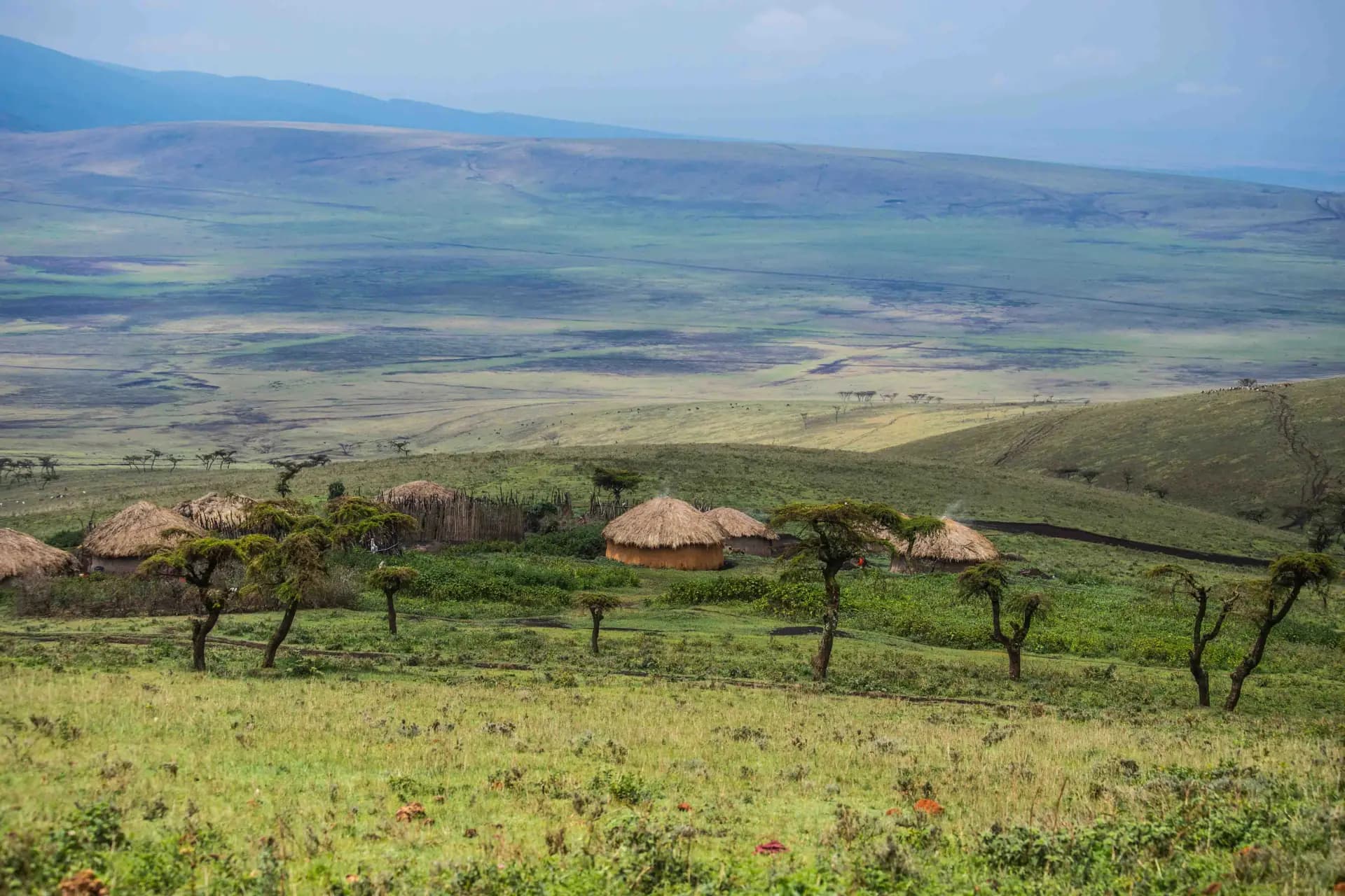 Ngorongoro