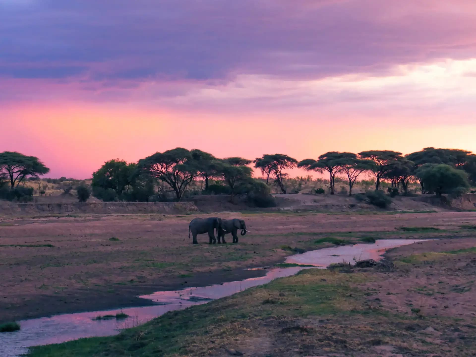 Ruaha Accommodation