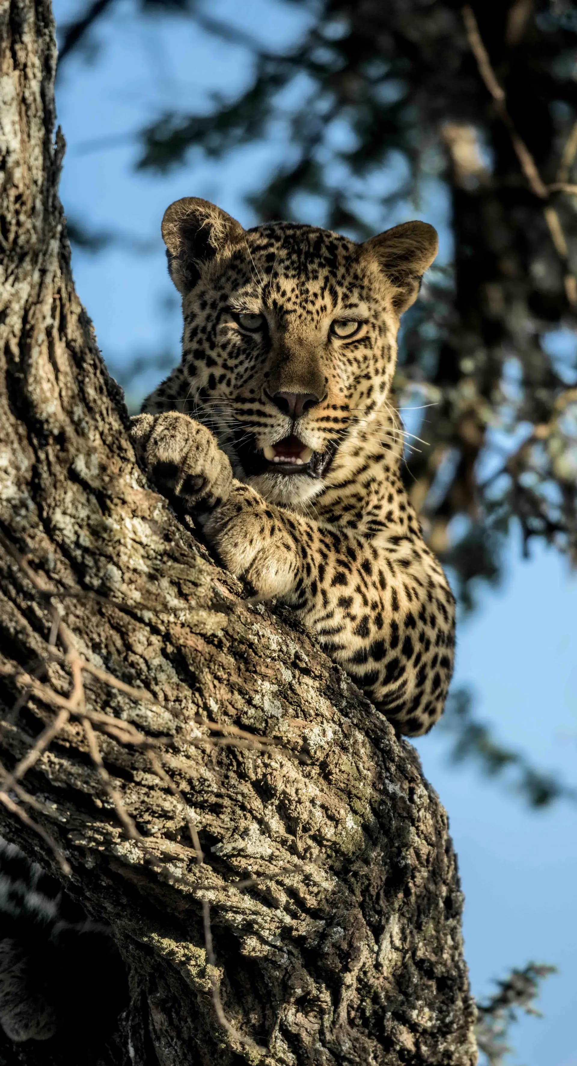 Serengeti National Park