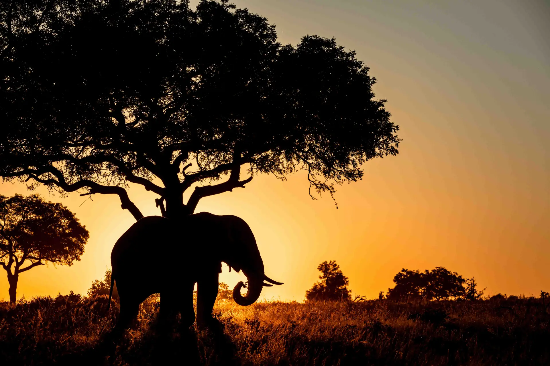 Family Safari: Tarangire & Ngorongoro