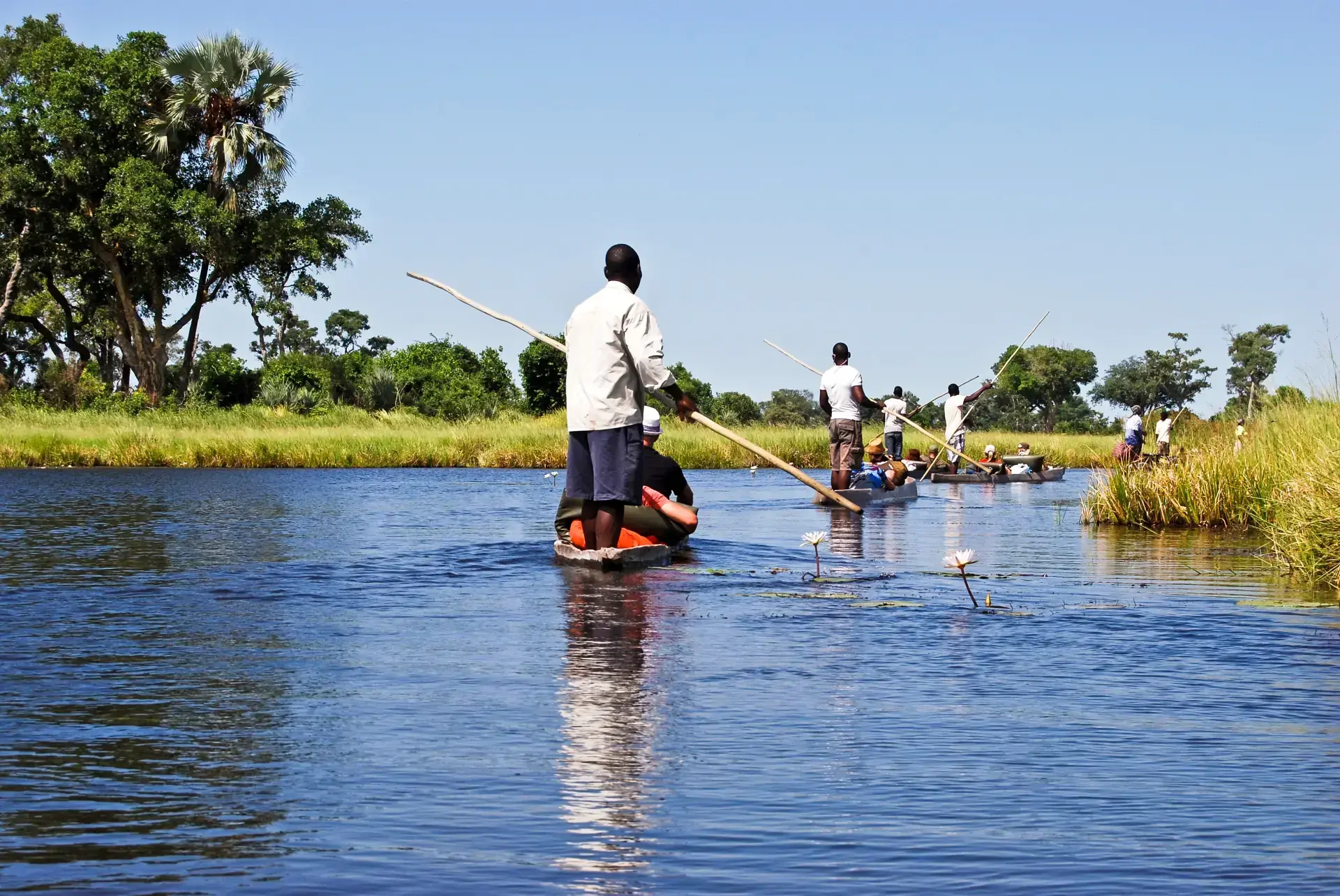 Boat Safaris gallery 1