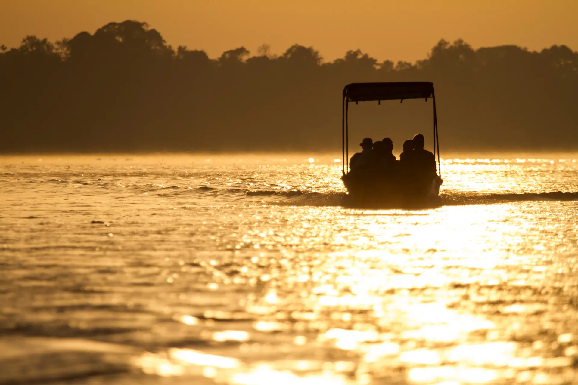 Boat Safaris