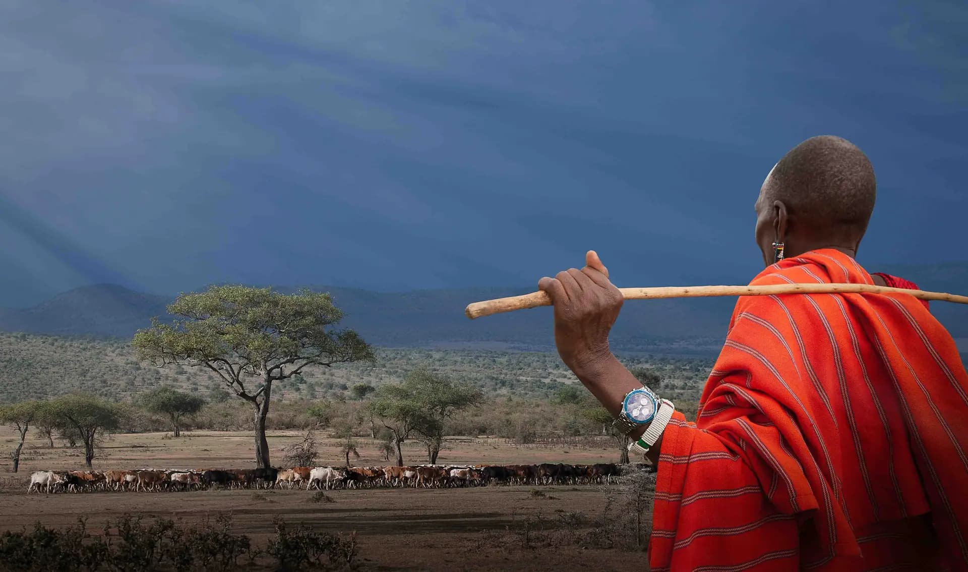 Maasai Traditions