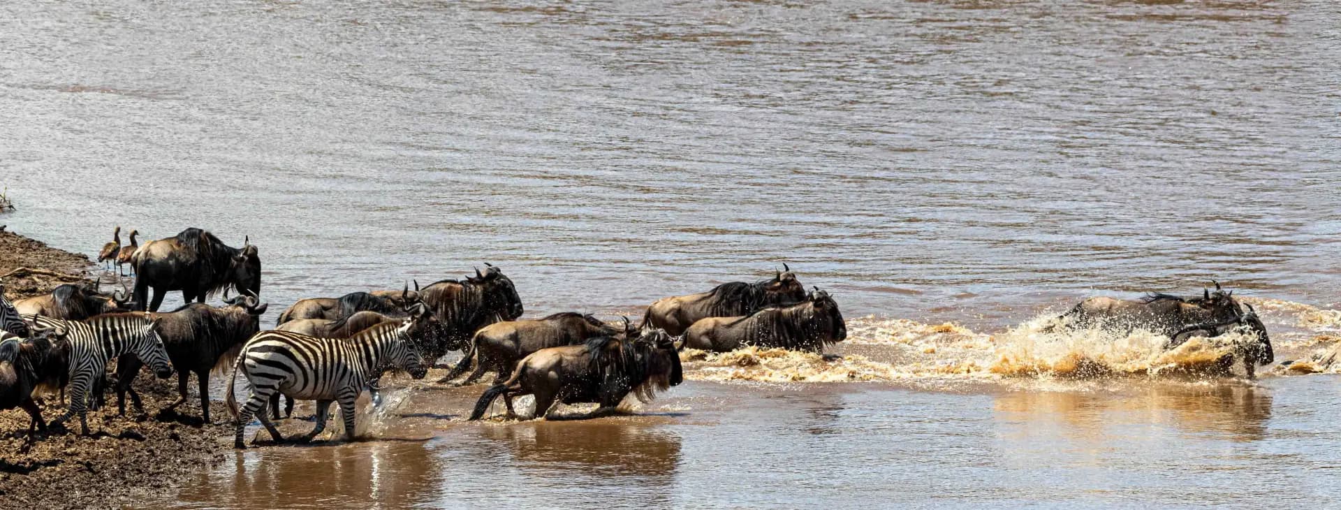 Serengeti Plains