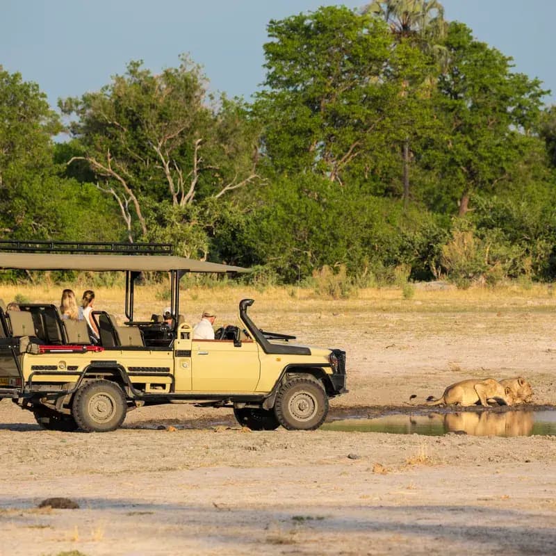 Serenity Africa Safari Experience