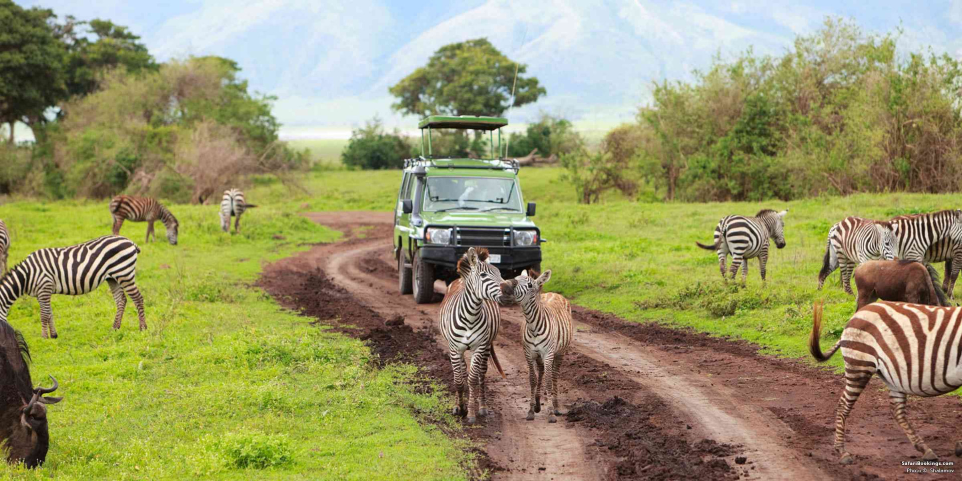 Serengeti inspired landscape, illustrative