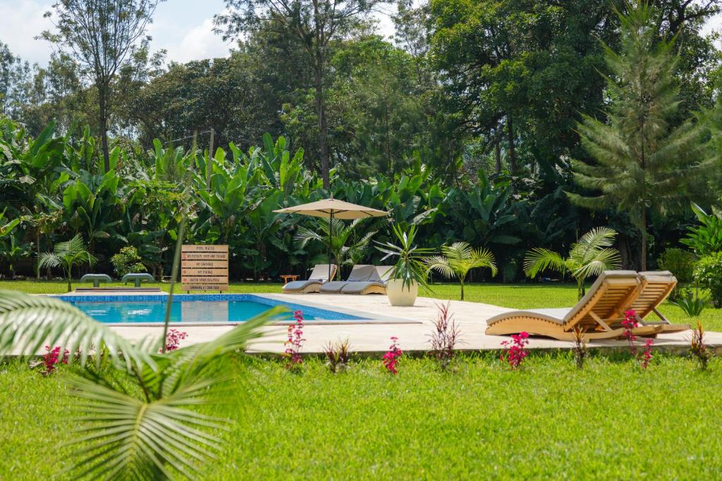 Your first safari: a little less ordinary