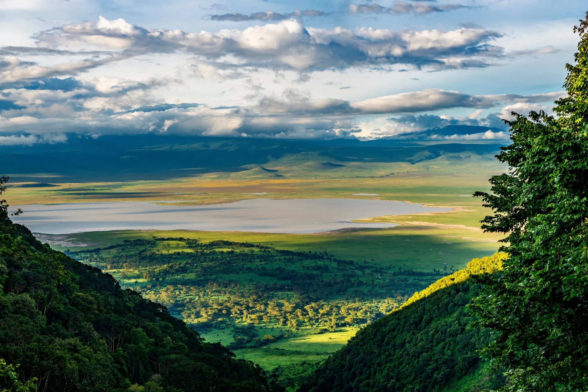 Ngorongoro inspired landscape, illustrative