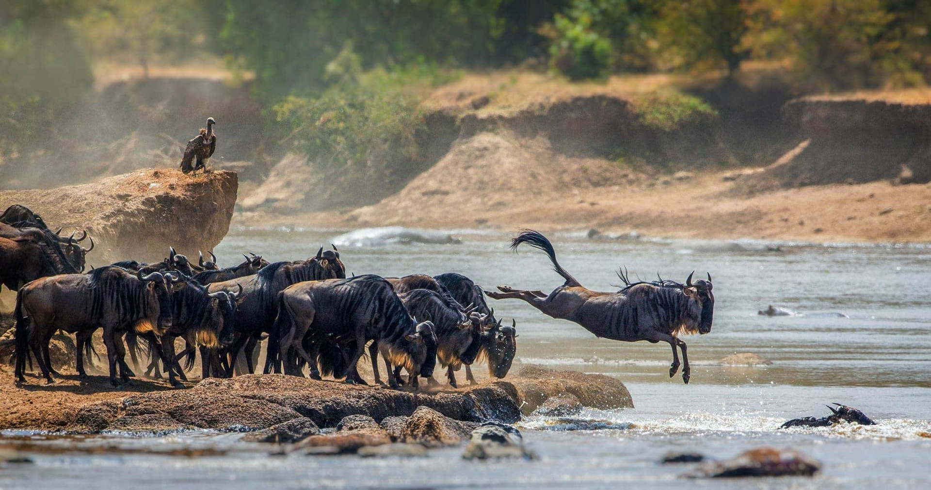 Nine Days Tanzania Safari, illustrative landscape